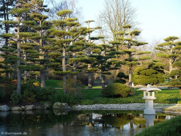 Http Snug Harbor Org Botanical Garden New York Chinese Scholars