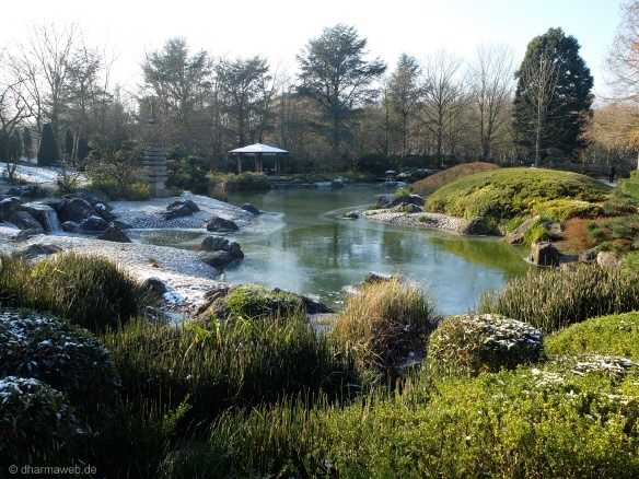 Http Snug Harbor Org Botanical Garden New York Chinese Scholars