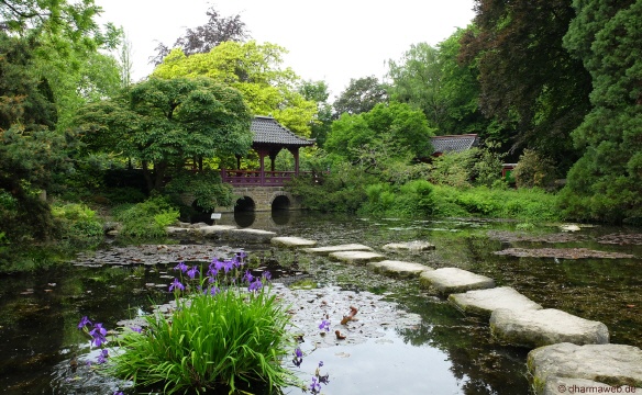 Http Snug Harbor Org Botanical Garden New York Chinese Scholars